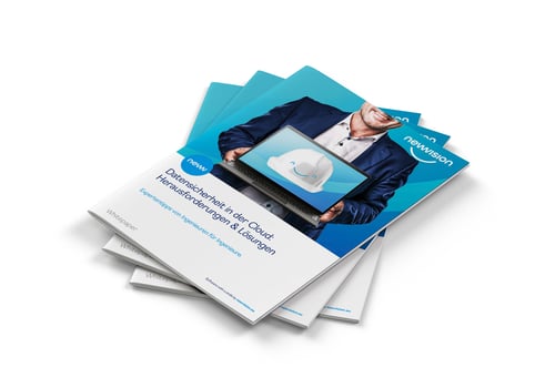 Whitepaper Unternehmensdatensicherheit