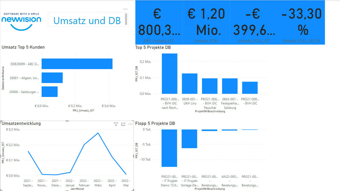 Analyse des Unternehmens über Reporting