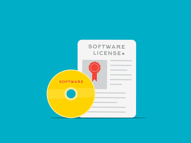 Software Lizenzmodelle im Überblick