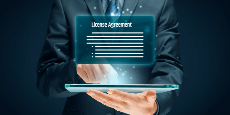 Was ist eine Perpetual License