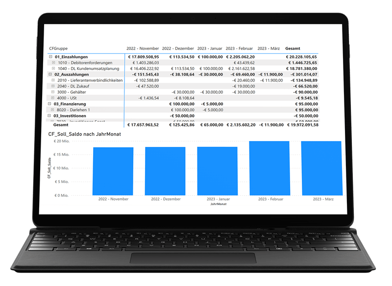 Unternehmens-Software